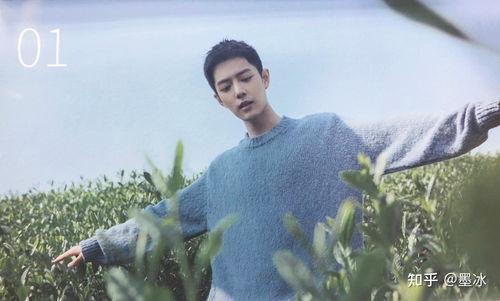 肖战娱乐吃瓜,幕后真相与精彩瞬间